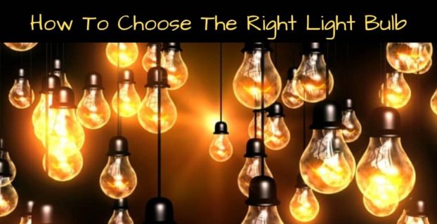 how to choose the right light bulb