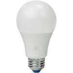 non toxic light bulbs
