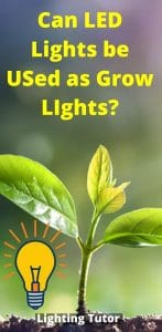 LED lights as grow lights