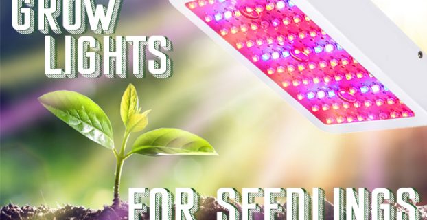 grow lights for seedlings